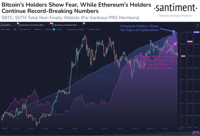 Bitcoin Sell-Off Hits Record Highs ; Ethereum Attracts New Investors – Crypto News BTC