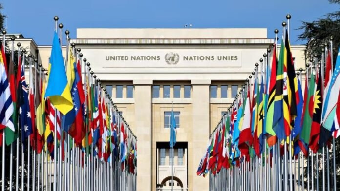 Implications of United Nations Blockchain Programme