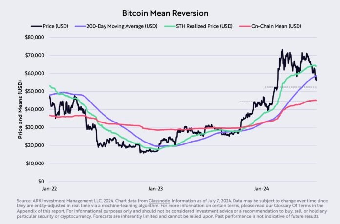 Why They Bet Big On BTC’s Recovery